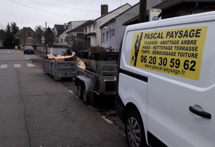 Travaux d'abattage Montigny-lès-Metz