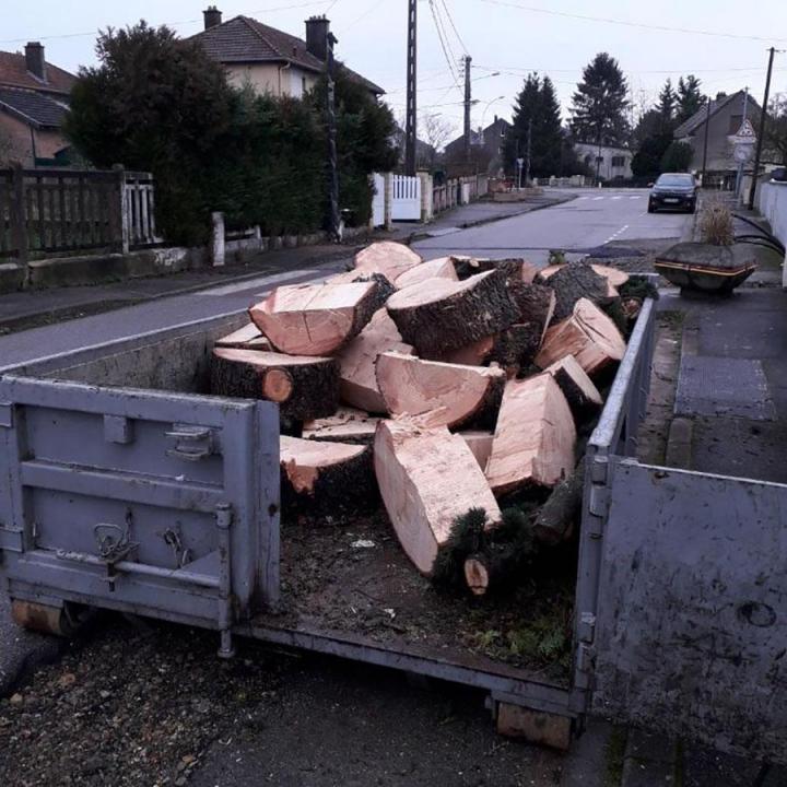 Travaux d'abattage Montigny-lès-Metz