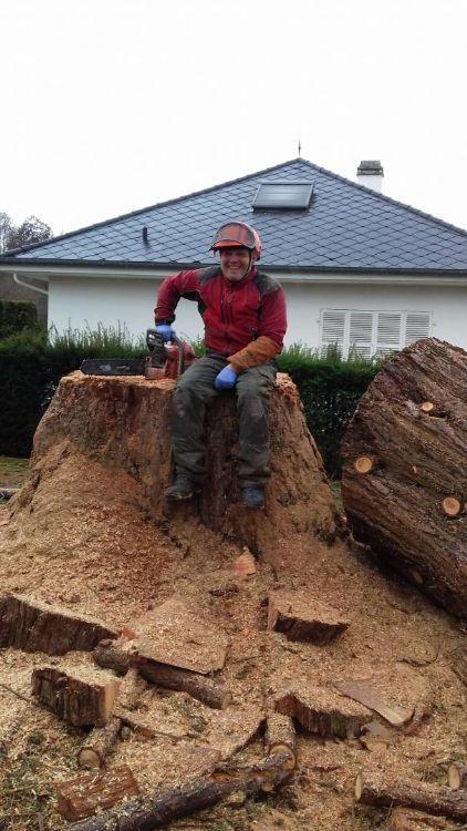 Entreprise d'abattage Montigny-lès-Metz 