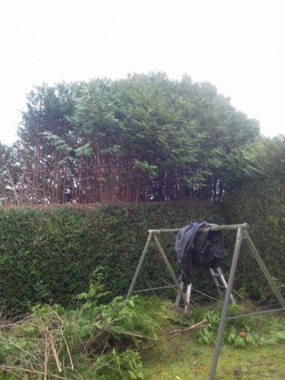 Entretien de jardins Montigny-lès-Metz