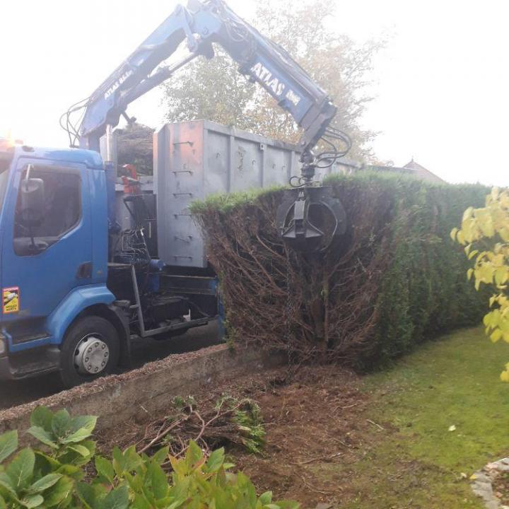 Spécialistes en entretien de jardins Montigny-lès-Metz 