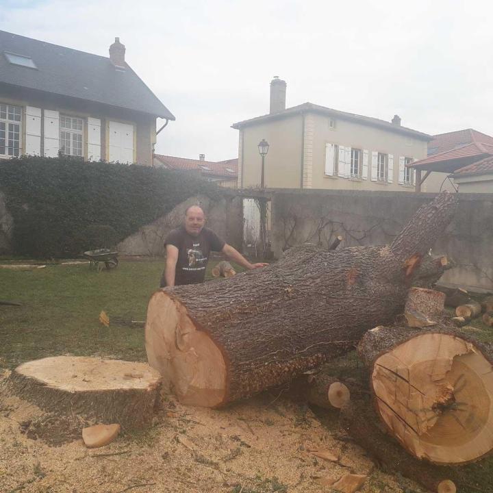 Entreprise d'abattage Montigny-lès-Metz 