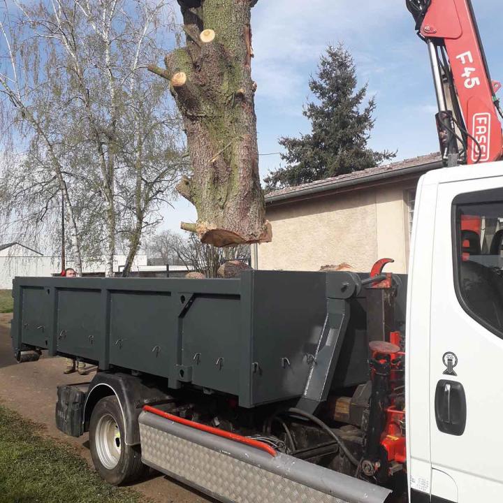 Travaux d'abattage Montigny-lès-Metz