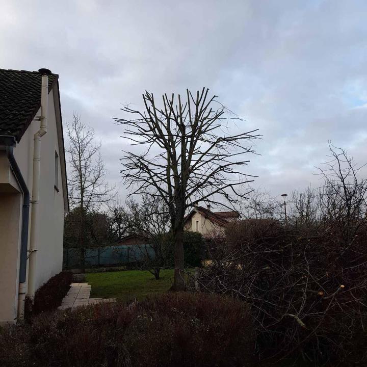 Travaux d'élagage Montigny-lès-Metz