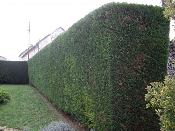 Entretien de jardins Montigny-lès-Metz