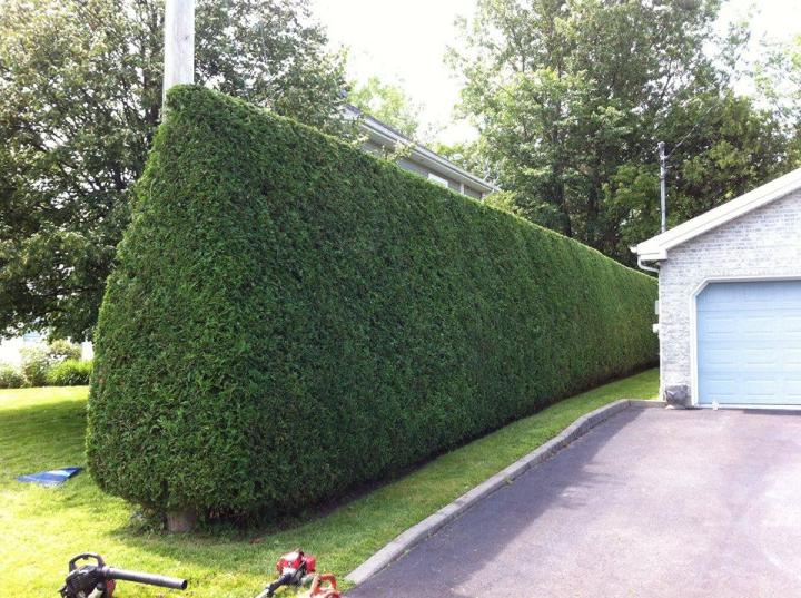 Spécialistes en entretien de jardins Montigny-lès-Metz 