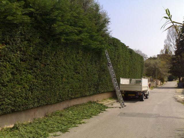 Spécialistes en entretien de jardins Montigny-lès-Metz 