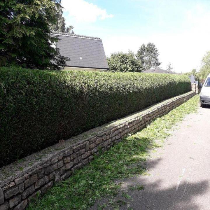 Entretien de jardins Montigny-lès-Metz