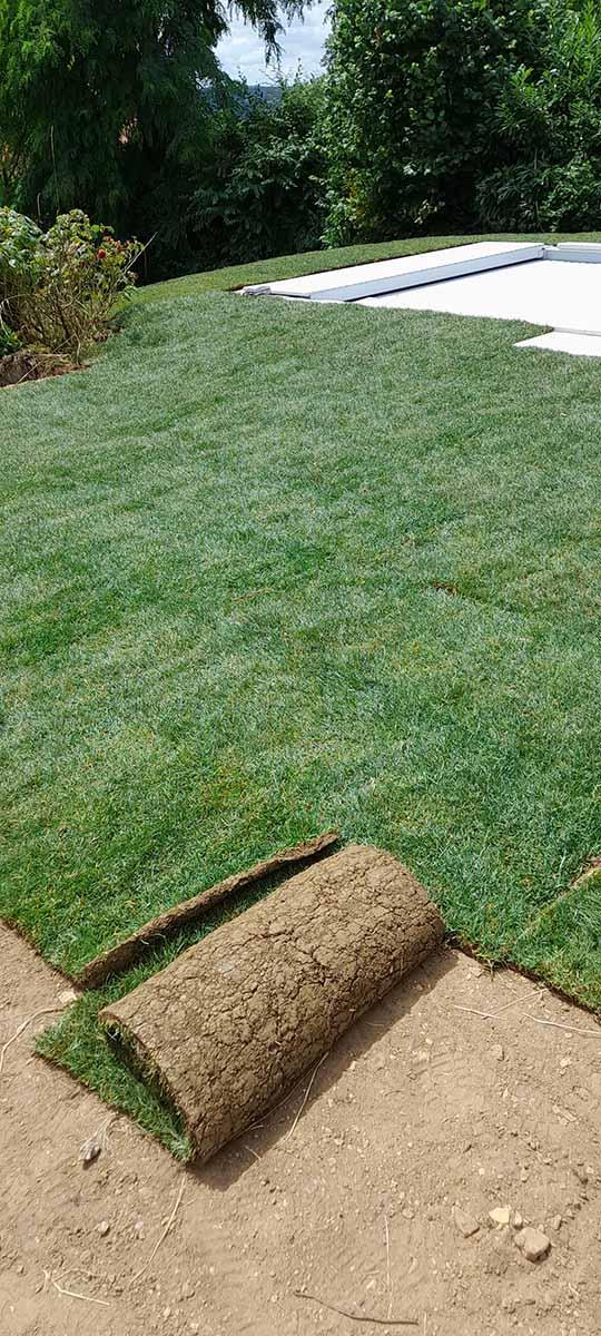 Création de gazon naturel Montigny-lès-Metz