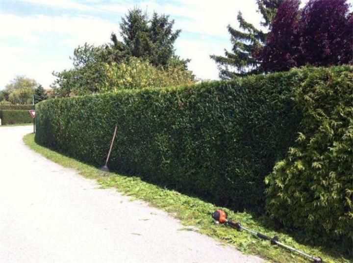 Entretien de jardins Montigny-lès-Metz